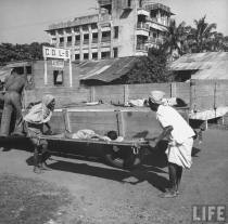 Bodies were disposed as efficiently as food was denied in Bengal. ((Picture by life.com; courtesy - oldindianphotos.blogspot.com.). Click for larger image.