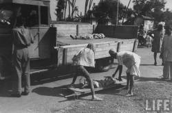 No bodies ... no famine ... What famine ... ? The British efficiently disposed of the bodies in Kolktta. (Picture by life.com; courtesy - oldindianphotos.blogspot.com.).